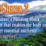The Best Silica Supplement