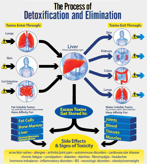 heavy-metal-detox